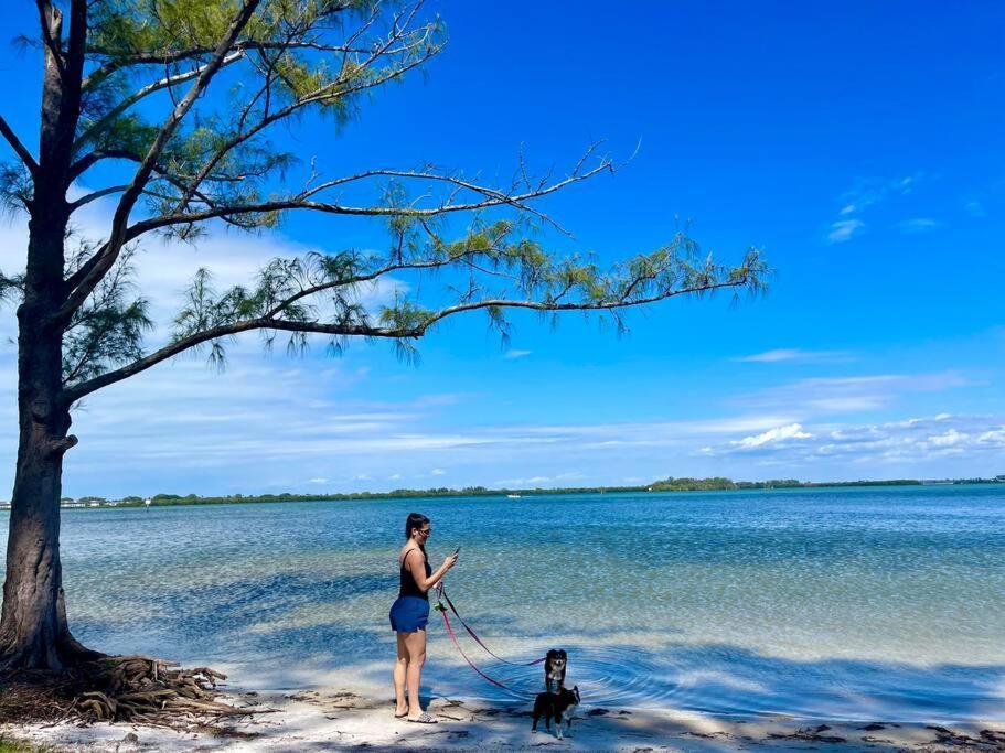 New Dog Paradise - Near The Beach Img & Downtown Bradenton Exterior photo