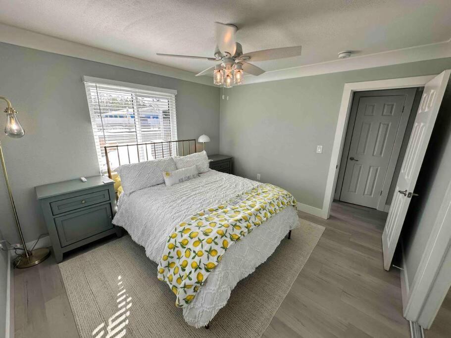 New Dog Paradise - Near The Beach Img & Downtown Bradenton Exterior photo